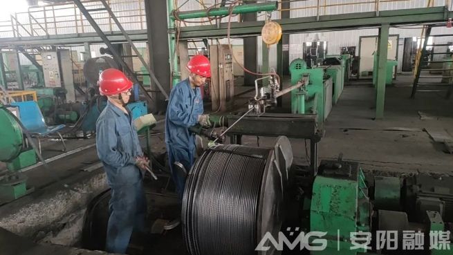 安陽加快催生新質生產(chǎn)力一線觀察丨綠色“小巨人”是如何長成的